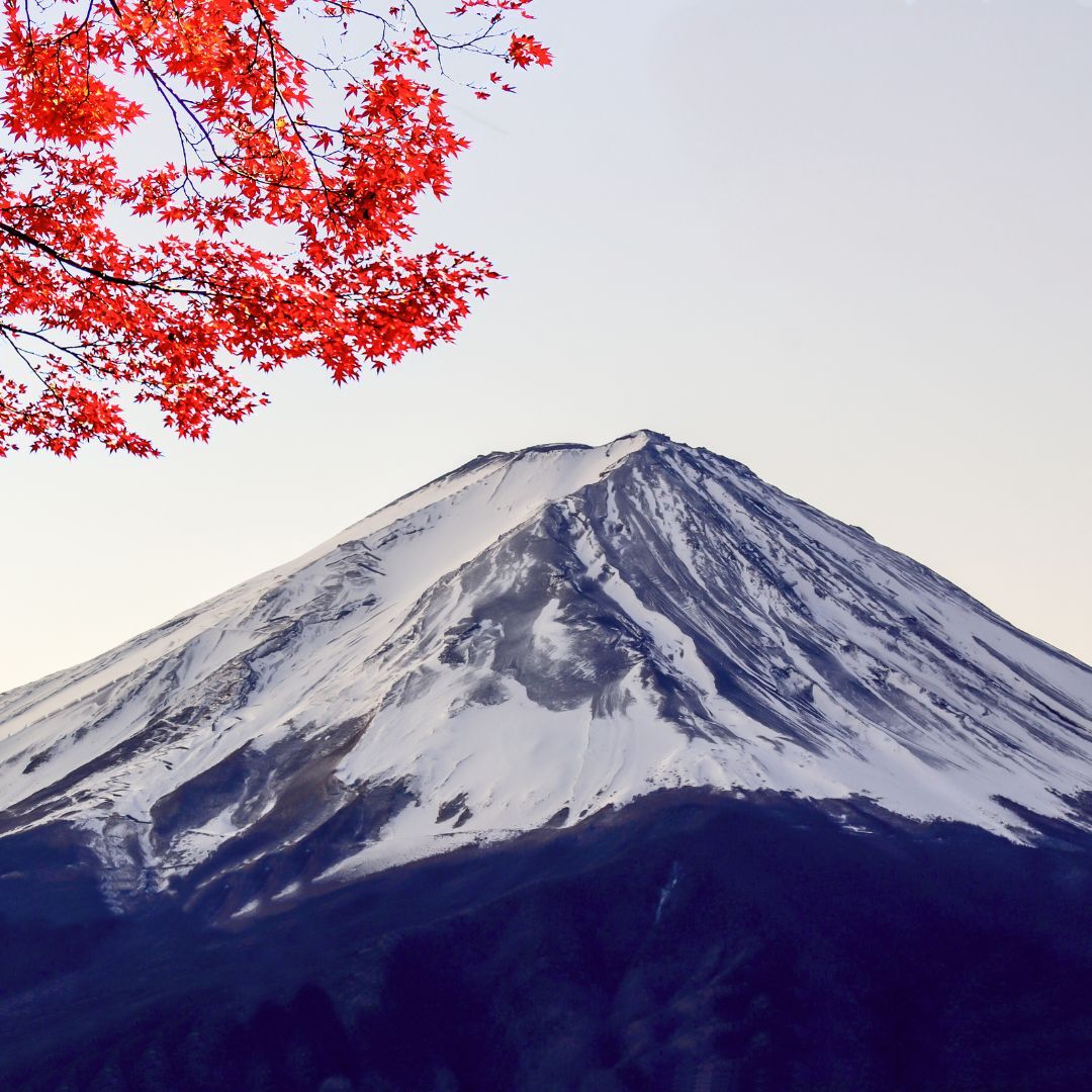 TTB2C JAPON
